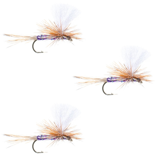 3 Pack Parachute Super Flash Purple Haze Dry Fly - Size 12