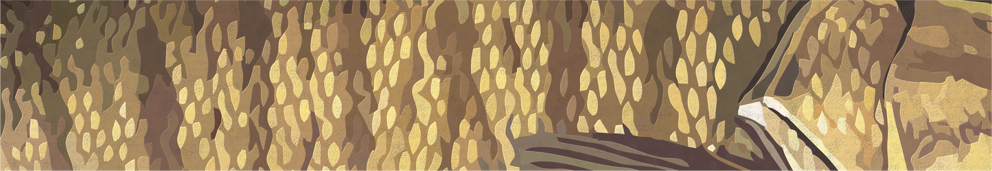 2024 Catch Cam Net Handles