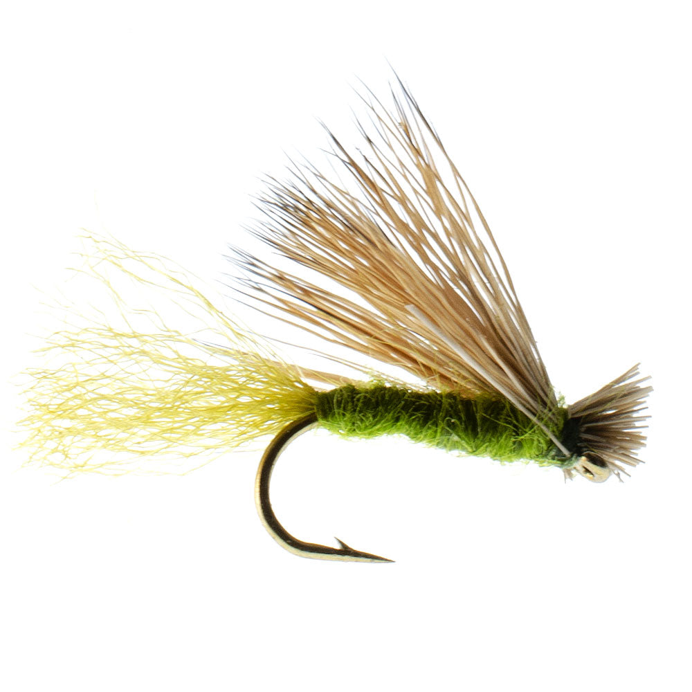 3 Pack Barbless Olive X Caddis Emerging Caddis Adult Fly - Hook Size 14