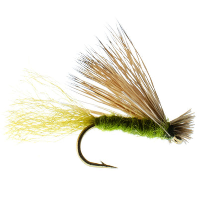 Barbless Olive X Caddis Emerging Caddis Adult Fly - 6 Flies Size 16