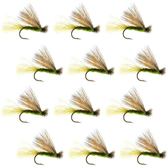 Barbless Olive X Caddis Emerging Caddis Adult Fly - 12 Flies Size 18