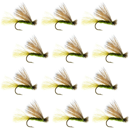 Olive X Caddis Emerging Caddis Adult Trout Dry Fly - 1 Dozen Flies Hook Size 14