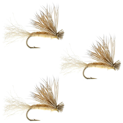3 Pack Barbless Tan X Caddis Emerging Caddis Adult Fly - Size 18