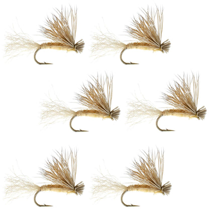 Barbless Tan X Caddis Emerging Caddis Adult Fly - 6 Flies Size 14